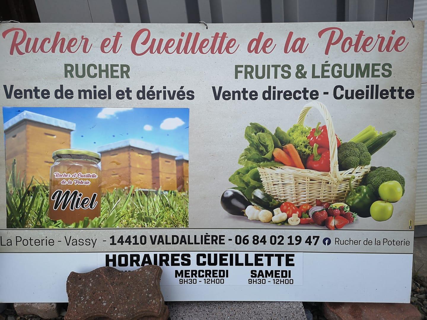 231360727 990836804818466 60221445147679463 n