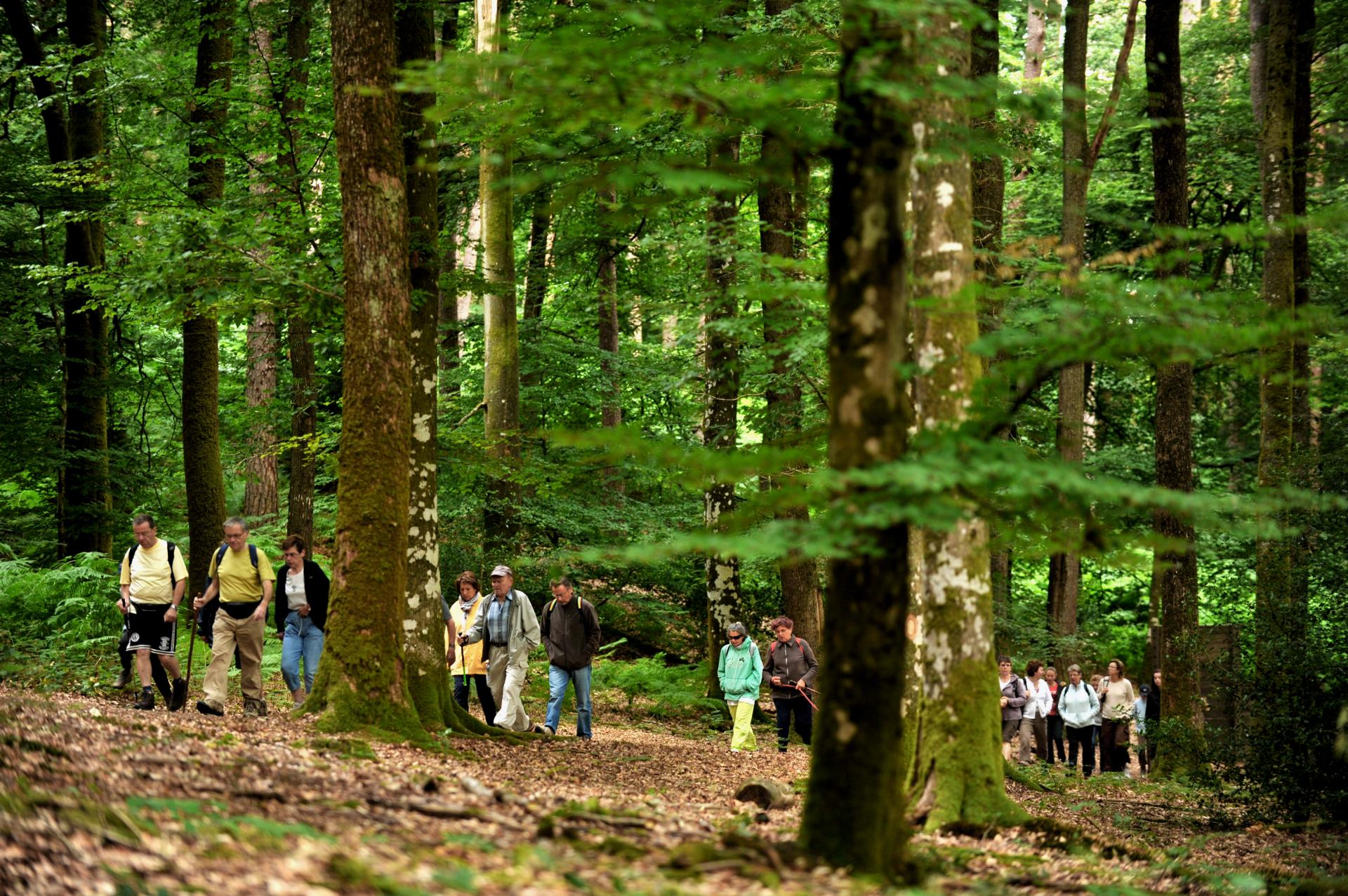 Randoperseigne num009